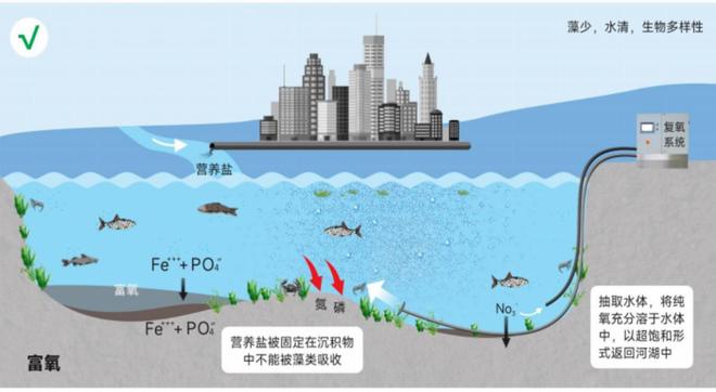 让湖泊重获新生—蓝藻治理如何打破反复治、治反复困局？(图2)
