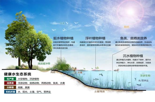 让湖泊重获新生—蓝藻治理如何打破反复治、治反复困局？(图3)