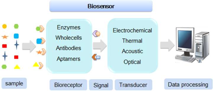 奥比中光获32家机构调研：面向人形机器人领域公司可提供单目双目结构光、激光雷达、