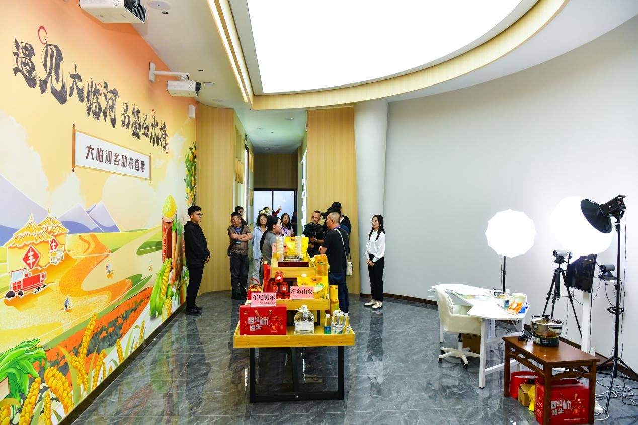 熊猫体育数字赋能基层治理应县圣水塘村描绘乡村振兴新画卷(图2)