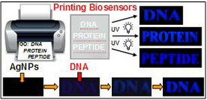 从“接得住”到“创得出”嘉定区生物医药产业集群的进阶之道