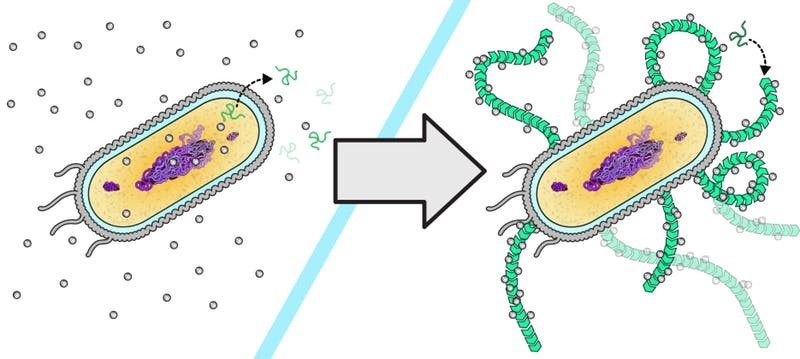 2025年丁苯橡胶行业市场深度分析及发展规划咨询综合研究