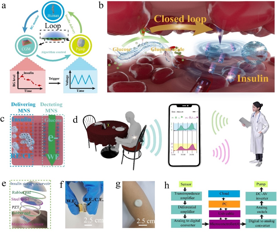 第四节生熊猫体育官方网站物传感器的应用