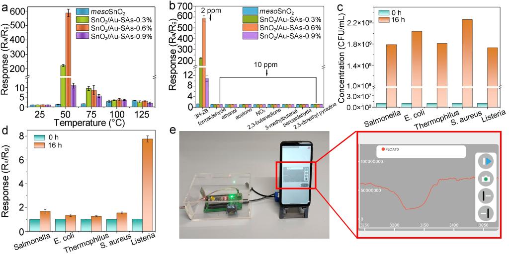 AI芯片：最正宗的19家公司（名单）