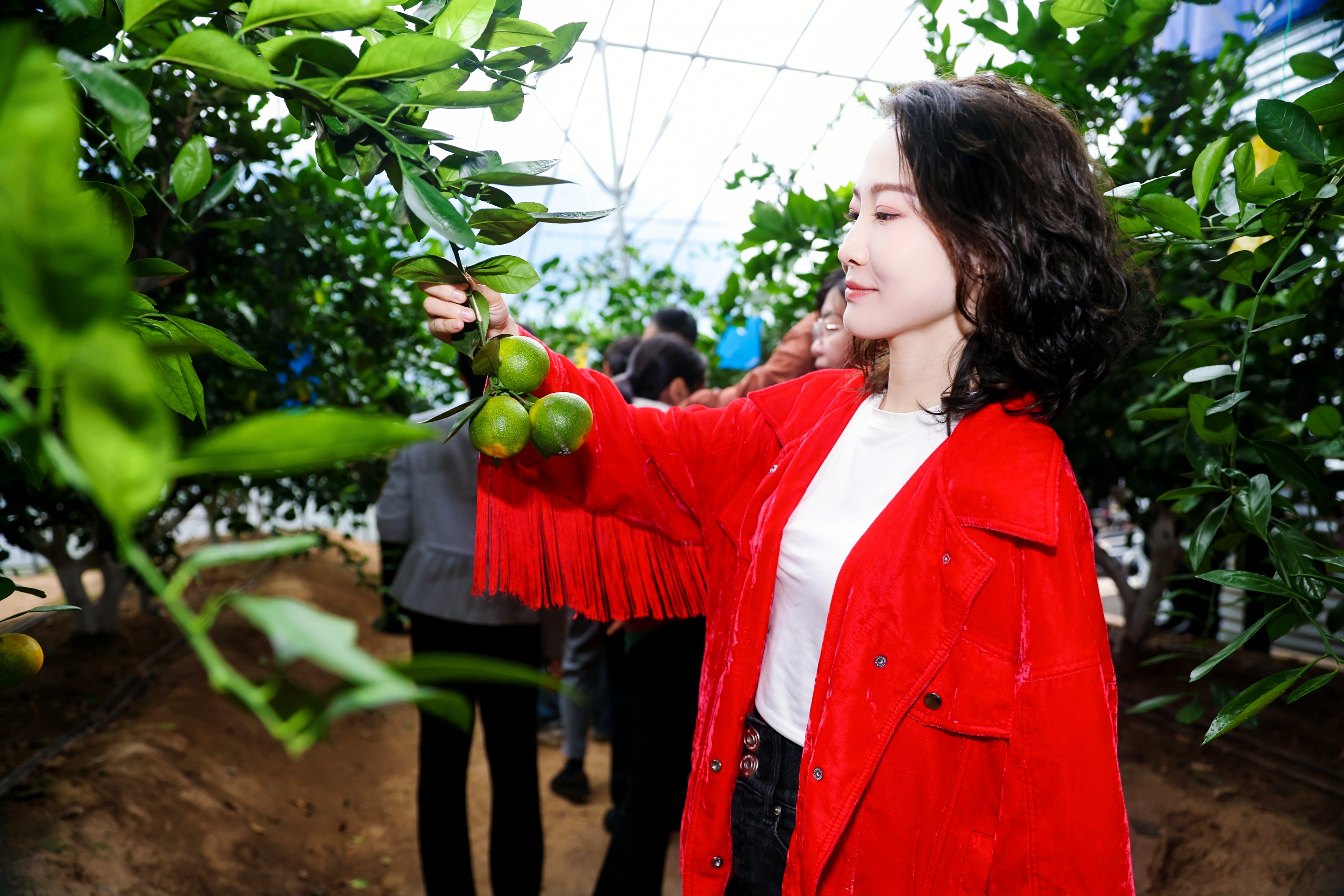 聊城：科技润泽乡村沃野重构传统农耕图景海岱文化谱新篇