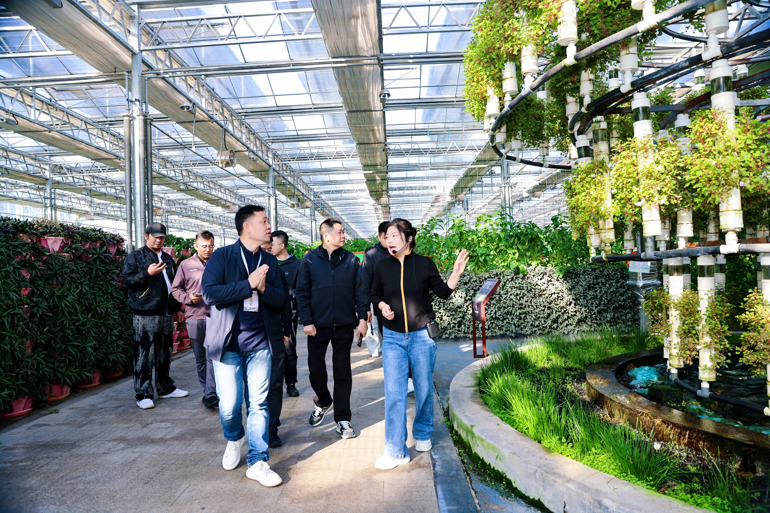 聊城：科技润泽乡村沃野重构传统农耕图景海岱文化谱新篇(图2)