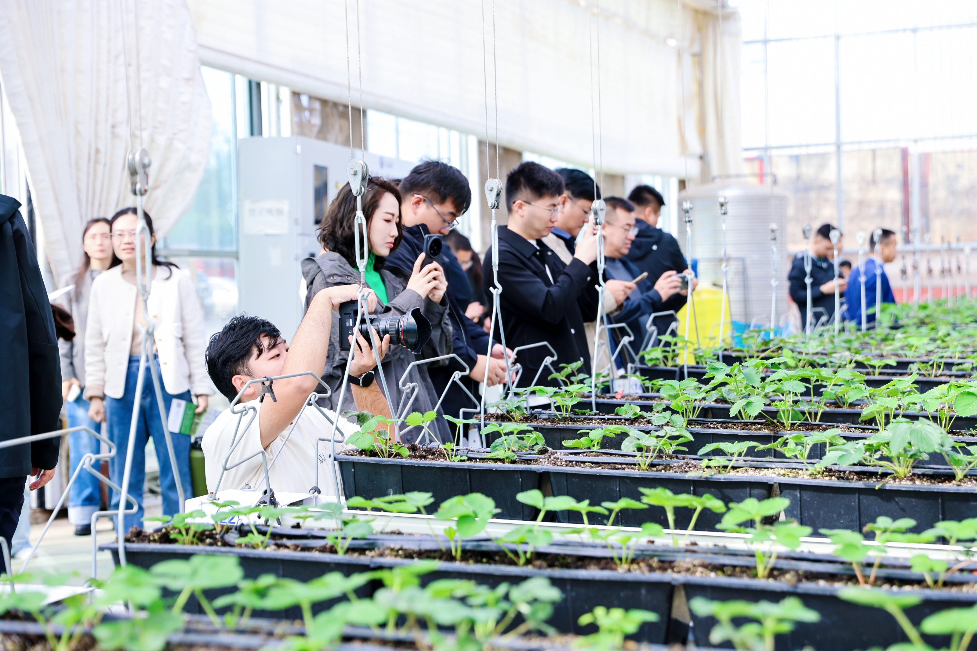 聊城：科技润泽乡村沃野重构传统农耕图景海岱文化谱新篇(图3)