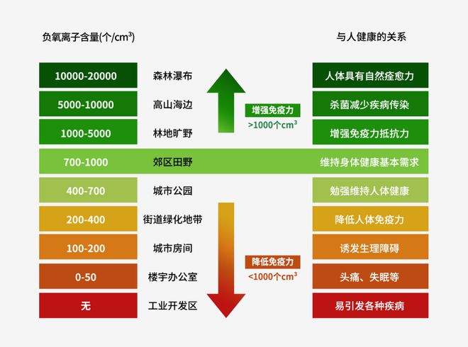都市鲜氧难觅？若瀑负氧离子机为品质生活注入“森林呼吸”