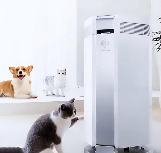 2025猫毛过敏净化器专业评测报告：悦呼吸除过敏原净化引领革新