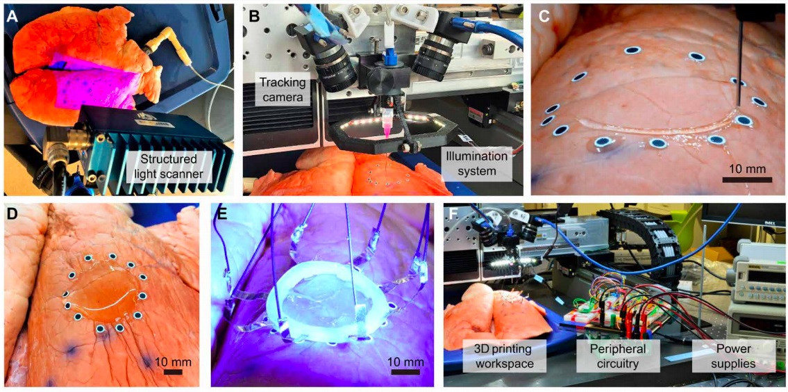 盘点上市AI气味相关龙头公司（20251118）