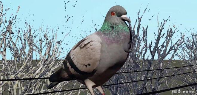 中央情报局如何利用动物进行间谍活动(图2)