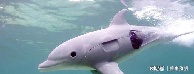 中央情报局如何利用动物进行间谍活动(图9)