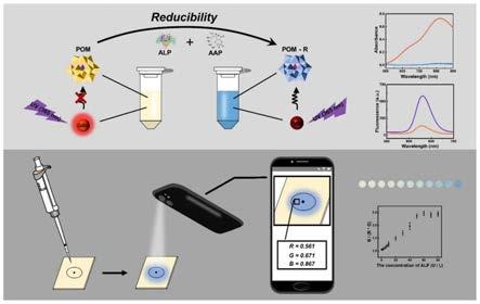 2025年中国智能体育装备行业发展现状分析与趋势预测