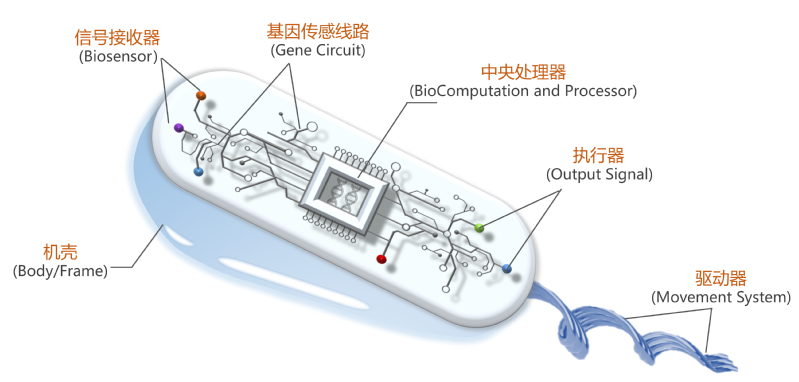 2025DIA第十届中国设计智造大奖总决赛TOP37名单及作品