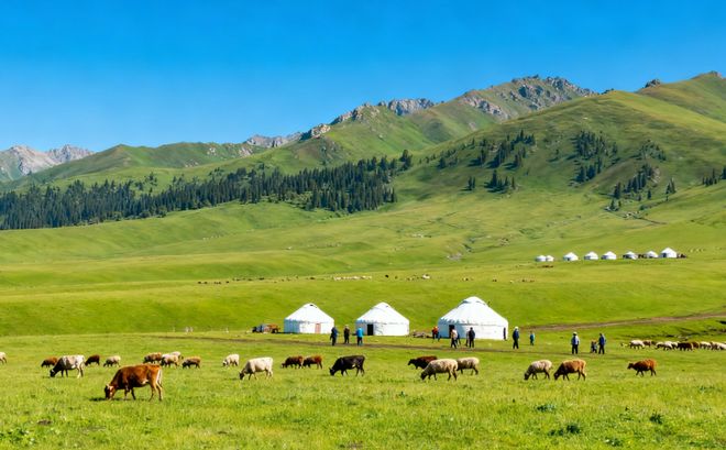 新疆智慧旅游平台认证！靠谱旅行社TOP10：蒙旅AI好评监测999%