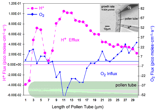 内蒙古：花粉精准预报破题过敏困局熊猫体育直播平台