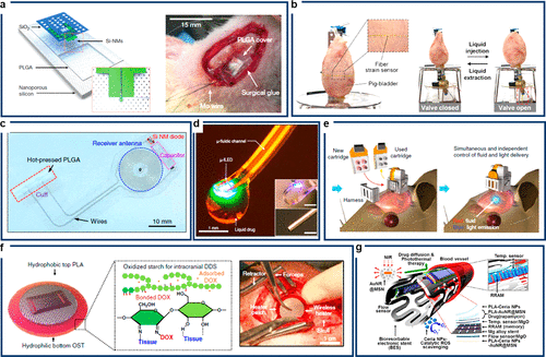 利用职务便利收受789万元回扣一医生被判刑一年8个月