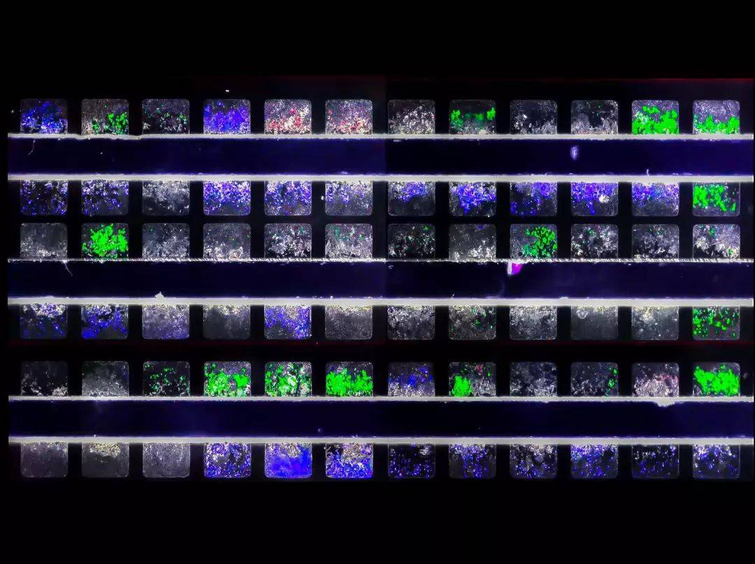 熊猫体育智能股份2026年2月北京医养结合养老院！北京市朝阳区东方综合养老院地址价格服务全解析