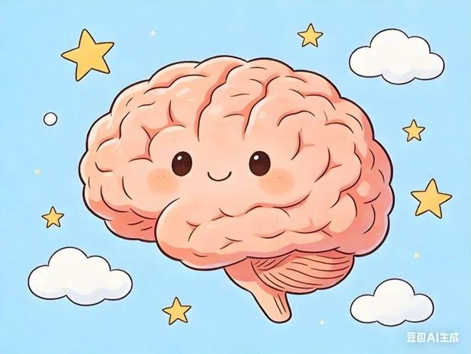 【南宫读书会】《人体简史》构成一个人需要哪些东西(图3)