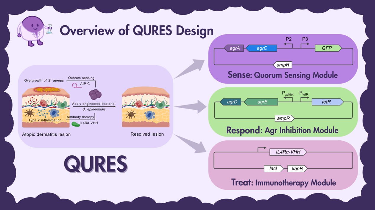 熊猫体育直播平台style c