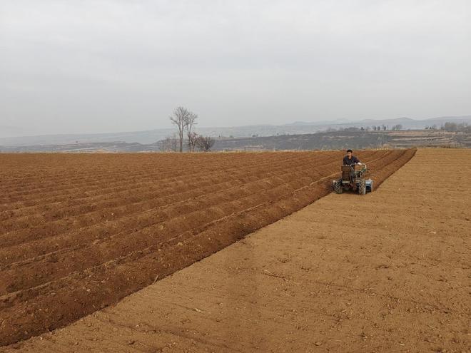 熊猫体育智能股份河南灵宝：奏春耕“三重奏”