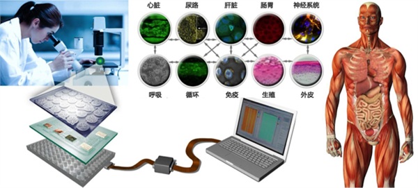 2026年全球科研仪器行业熊猫体育技术创新与未来趋势分析