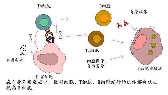 环保行业现状与发展趋势分析(熊猫体育赛事合作2026年)(图1)
