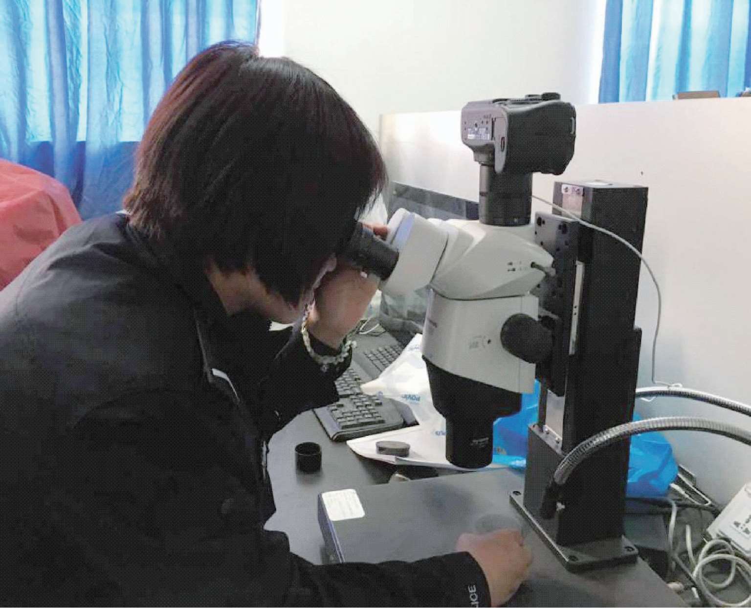 花粉柳絮满天飞鼻炎患者如何防护(图1)