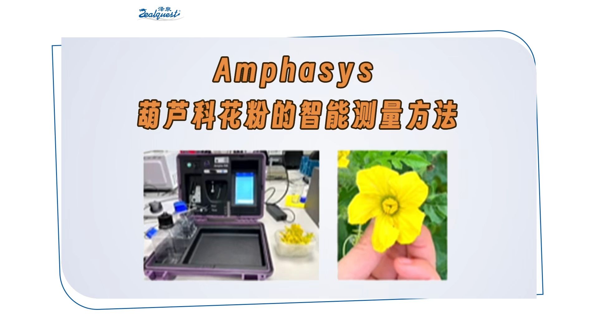 内蒙古科学施策破解花粉过敏性鼻炎防治难题
