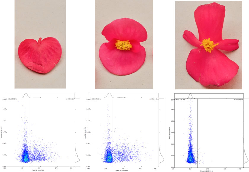 护航者说丨从区域检测空白到西部标杆他带领团队蹚出改革新路