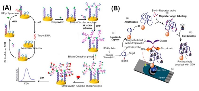 云财经股票内参快讯724滚动更新_今日股票市场最新消息
