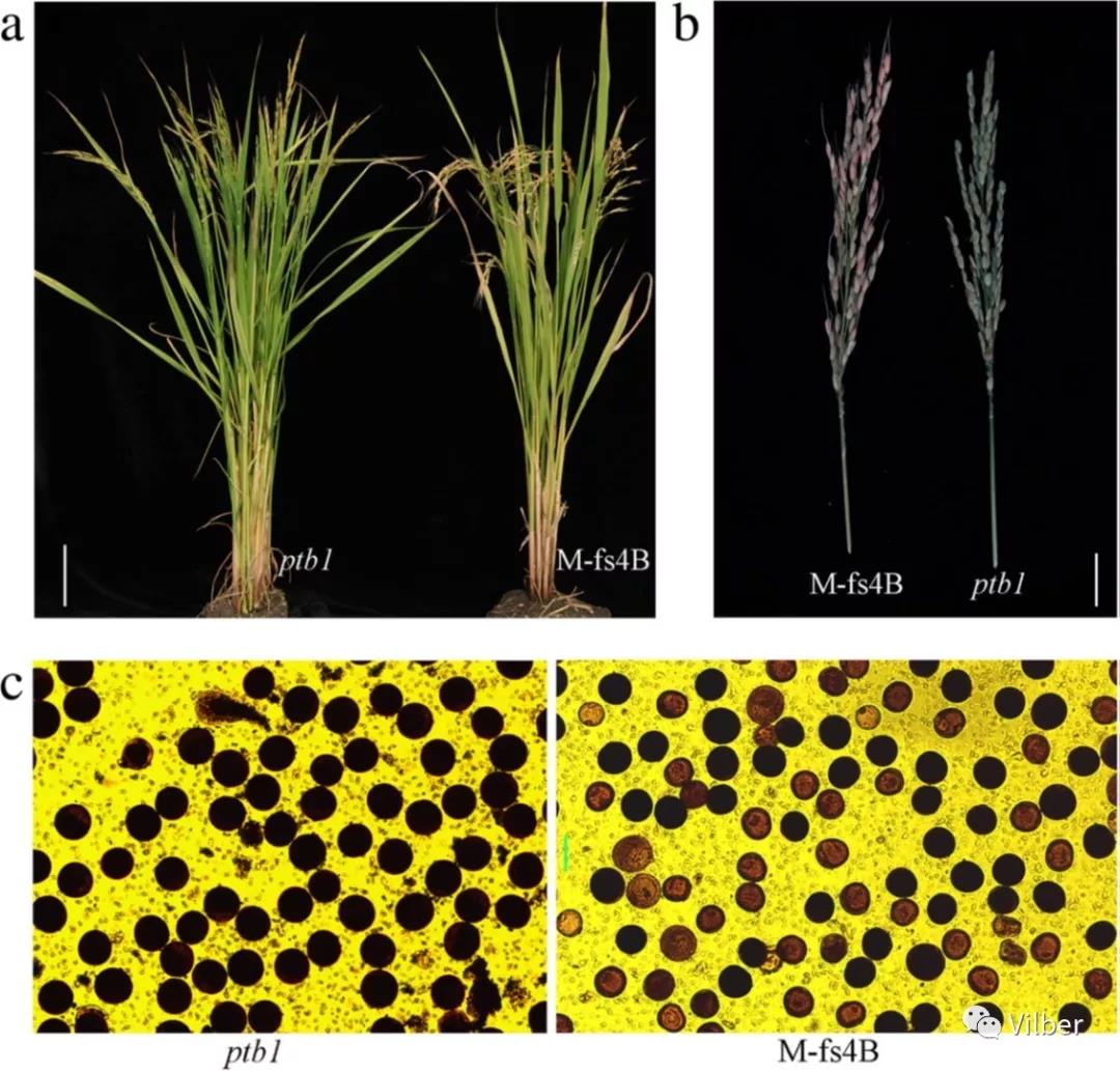 中国气象局：努力让天气预报成为百姓生活的“贴心管家”