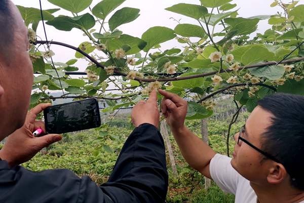 筑牢防护屏障！东胜区过敏性鼻炎综合防治工作扎实推进