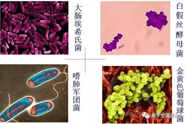 熊猫体育直播平台荣旗科技(301360)_最新价格_行情_走势图—东方财富网