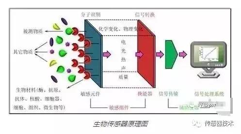 紧急预警！境外间谍无孔不入我国海域惊现间谍龟鱼！