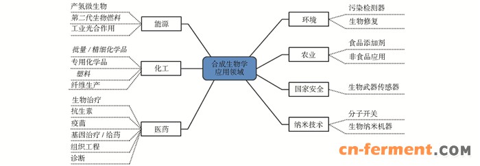 一种通过发夹结构变化介导的SRH级联等温放大辅助电化学生物传感器用于检测单核细胞